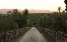 Fotos enviadas por los huéspedes de Collina