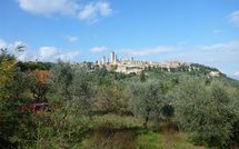 Fotos enviadas por los huéspedes de Podere degli Olivi