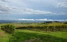 Fotos enviadas por los huéspedes de Podere degli Olivi