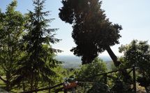 Fotos enviadas por los huéspedes de Borgo del Castagno