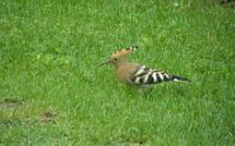 Fotos enviadas por los huéspedes de Casa Lucia