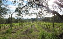 Fotos enviadas por los huéspedes de Fattoria le Poggiola