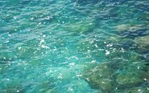 Fotos enviadas por los huéspedes de Pellegrinetti