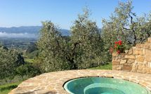 Fotos enviadas por los huéspedes de Villa Flora