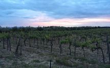 Fotos enviadas por los huéspedes de Agriturismo la Papessa