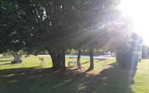 Fotos enviadas por los huéspedes de Villa Fontine