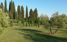 Fotos enviadas por los huéspedes de Villa Fontine