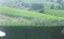 Fotos enviadas por los huéspedes de Villa San Filippo