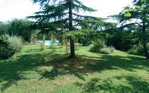 Fotos enviadas por los huéspedes de Casa Cipressi