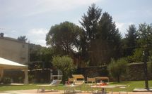 Fotos enviadas por los huéspedes de Flavia