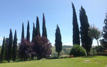 Fotos enviadas por los huéspedes de Casa Sabrina