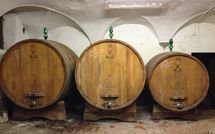 Fotos enviadas por los huéspedes de Villa del Mughetto