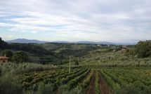 Fotos enviadas por los huéspedes de Villa del Mughetto