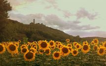 Fotos enviadas por los huéspedes de Casa San Martino