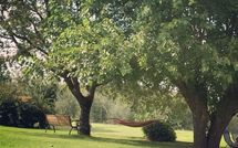 Fotos enviadas por los huéspedes de La Puzzola