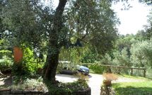 Fotos enviadas por los huéspedes de Tenuta Villa la Chiusa Schnautzer