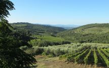 Fotos enviadas por los huéspedes de Agriturismo Concadoro