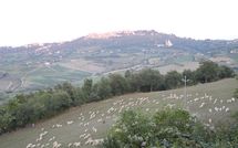 Fotos enviadas por los huéspedes de Villa Nibbiano