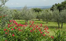 Fotos enviadas por los huéspedes de Villa Nibbiano