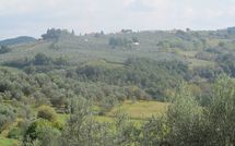 Fotos enviadas por los huéspedes de Montegufoni