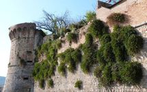 Fotos enviadas por los huéspedes de Villa Carolina