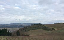 Fotos enviadas por los huéspedes de Mercatale