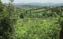 Fotos enviadas por los huéspedes de Villa Saladini