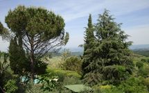 Fotos enviadas por los huéspedes de Giovanna Vacanze