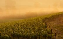 Fotos enviadas por los huéspedes de Casa Simona