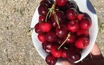 Fotos enviadas por los huéspedes de Villa Eden