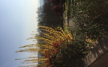 Fotos enviadas por los huéspedes de Casa Sabrina