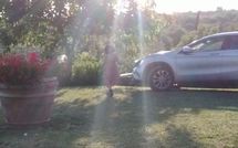 Fotos enviadas por los huéspedes de Country House Il Galleto