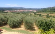 Fotos enviadas por los huéspedes de Villa Alabastro