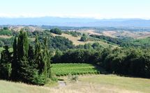 Fotos enviadas por los huéspedes de Villa Isabella