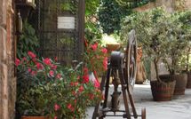 Fotos enviadas por los huéspedes de Nel Guasto