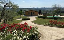 Fotos enviadas por los huéspedes de Villa Roberto