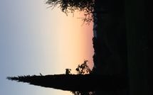 Fotos enviadas por los huéspedes de Podere Orietta