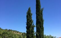 Fotos enviadas por los huéspedes de Casa Caldesi