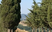 Fotos enviadas por los huéspedes de Casa Cipressi