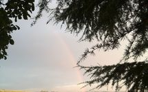 Fotos enviadas por los huéspedes de Casa Rossa