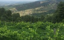 Fotos enviadas por los huéspedes de Castellinuzza