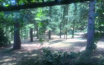 Fotos enviadas por los huéspedes de Palazzo Rosadi