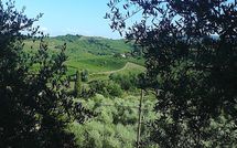 Fotos enviadas por los huéspedes de Villa la Vedetta