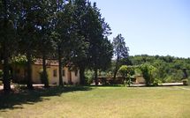 Fotos enviadas por los huéspedes de Trecento