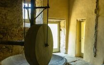 Fotos enviadas por los huéspedes de Podere Torremozza