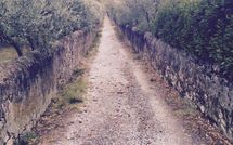 Fotos enviadas por los huéspedes de Villa Eden