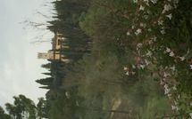 Fotos enviadas por los huéspedes de Villa Cinzia