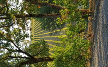 Fotos enviadas por los huéspedes de Le Gallozzole