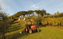 Fotos enviadas por los huéspedes de Casa Lucia