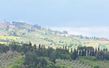 Fotos enviadas por los huéspedes de Massi